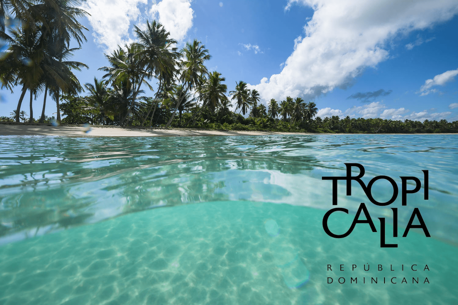 Tropicalia presenta su Informe de sostenibilidad 2020 Tropicalia presenta su Informe de sostenibilidad 2020