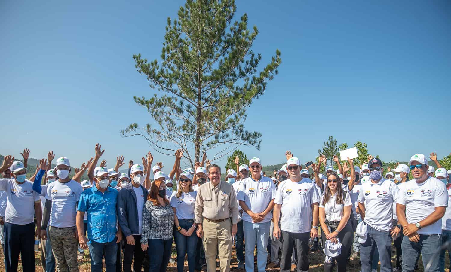Grupo M CODEVI siembra más de 10,000 pinos en la provincia de Dajabón Grupo M CODEVI siembra más de 10,000 pinos en la provincia de Dajabón